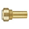 Tectite By Apollo 3/4 in. IPS Brass Push-to-Connect x 3/4 in. CTS Street Transition Adapter FSBIPSSTEM34